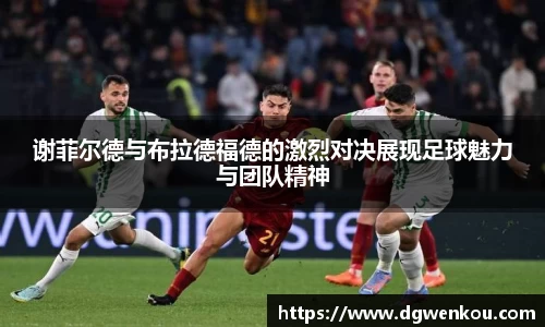 星空综合中国官方网站